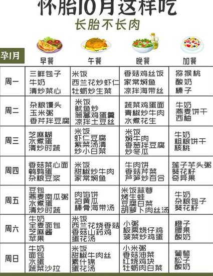 母婴《怀孕手册》视频 - 孕期营养