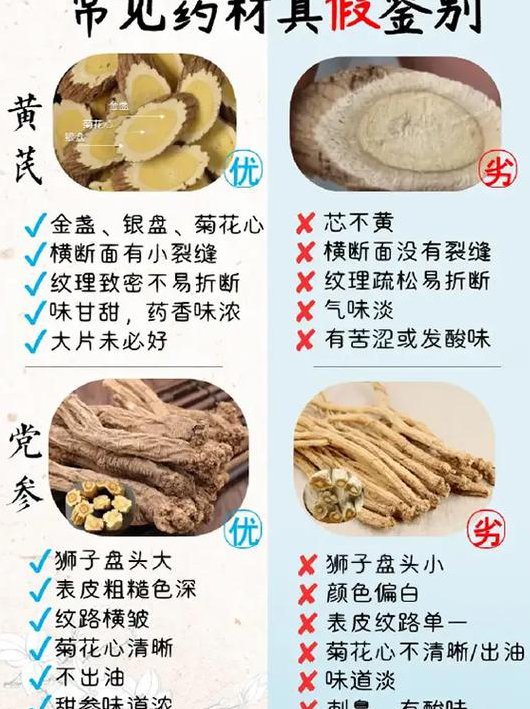 【中国药科大学】药用植物学课程 - 药材识别