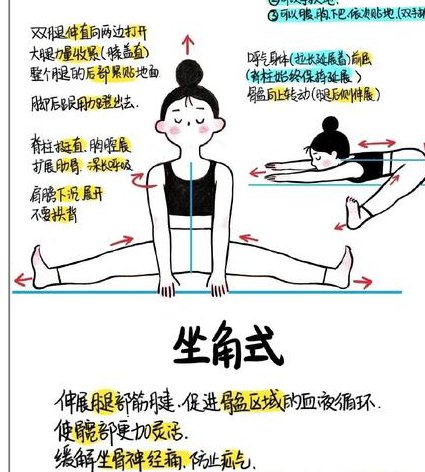 瑜伽减肥初级视频教程 - 瑜伽基础