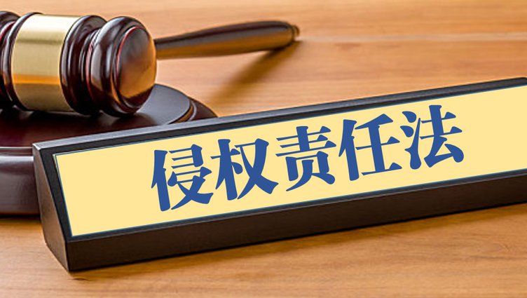 西南政法大学-民法学教学视频 - 侵权责任