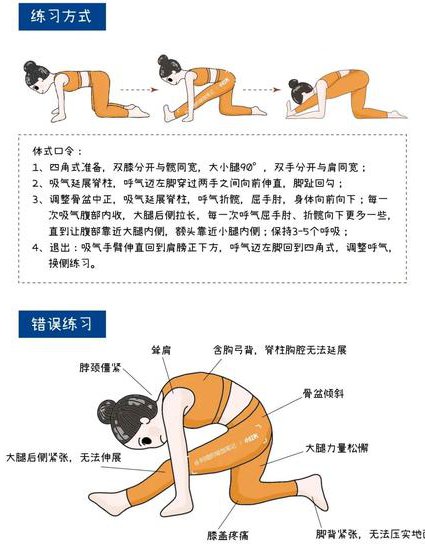 瑜伽教学课程视频 - 体式教学
