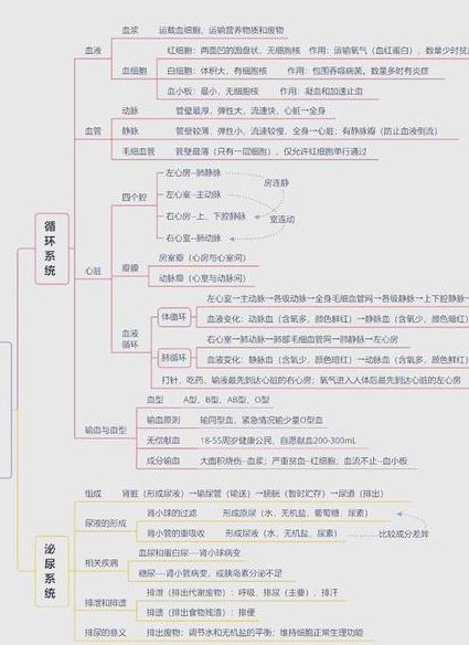 人教版八年级生物下册辅导视频 - 生态系统