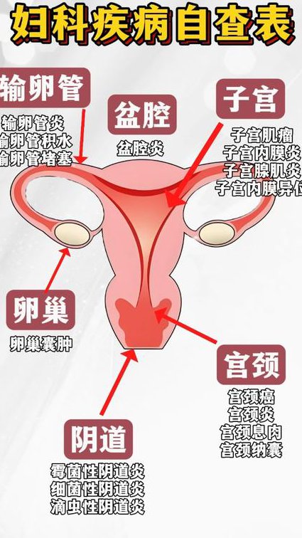 中医科大-妇产科学教学视频 - 妇科疾病