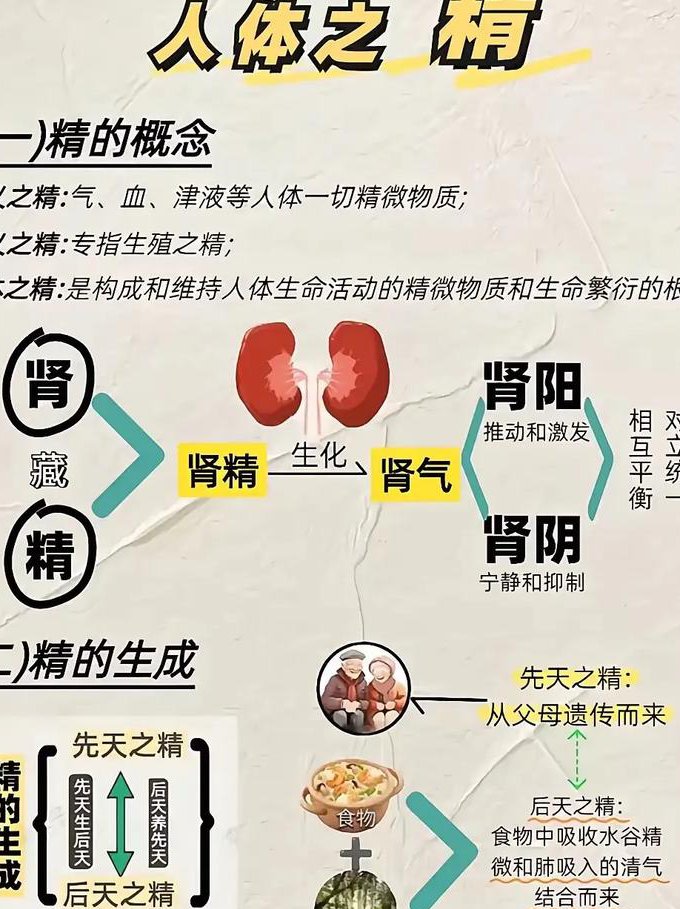中医执业医师-中医内科学培训 - 中医基础