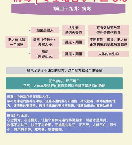 高中生物必修一名师辅导 - 病毒分类