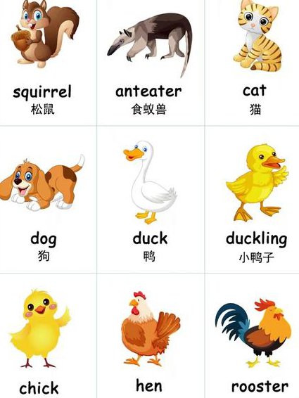 人教版小学五年级英语下册网课 - 生肖英语