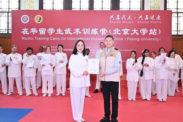 武术技术实战 - 武术训练