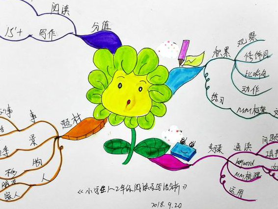 思维导图零基础入门课程 - 思维导图