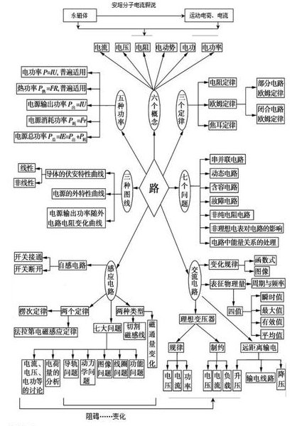 高考生物名师讲解 - 知识点图解