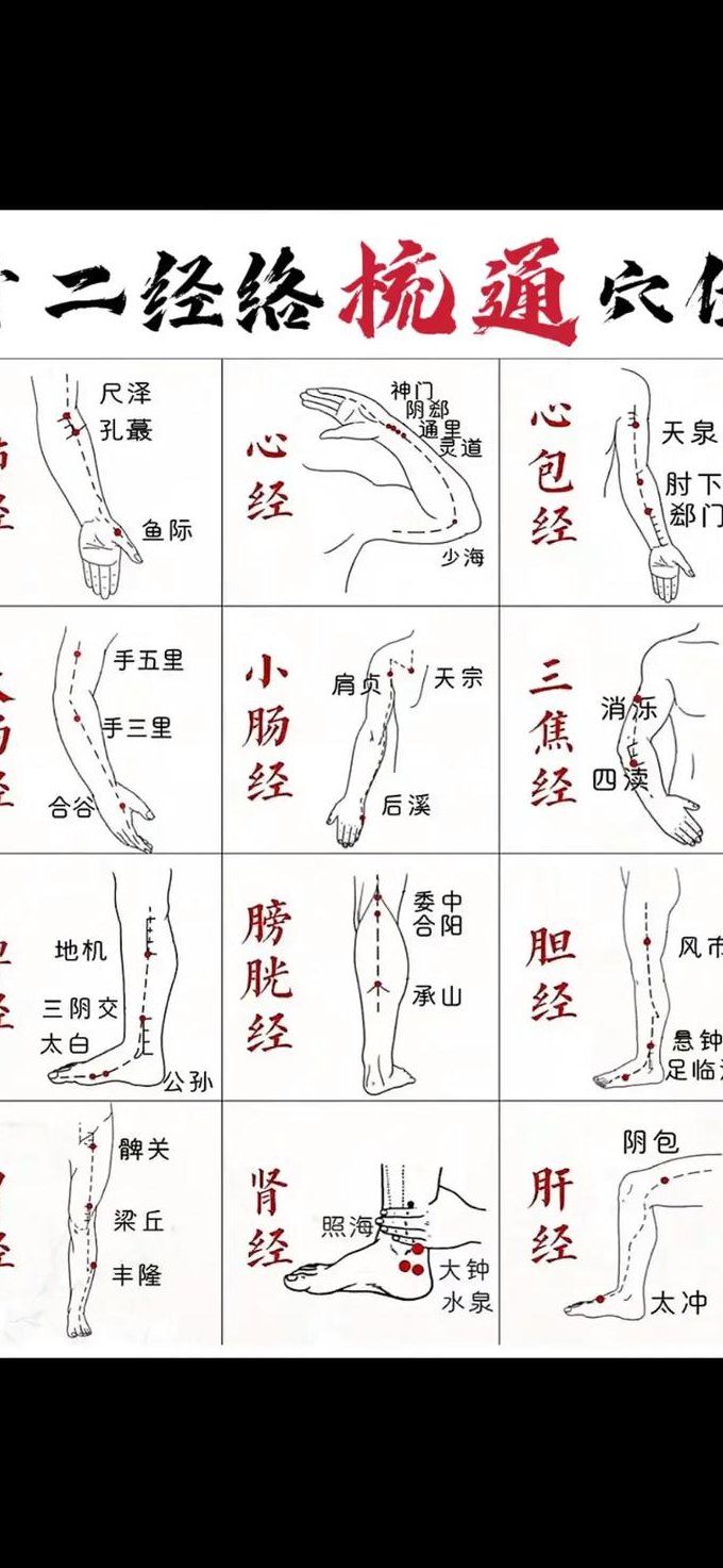 推拿手法学-浙江中医药大学-范炳华 - 经络
