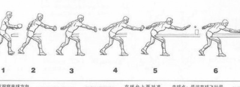 乒乓宝典-防守篇 - 乒乓步伐