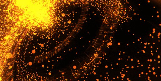 Adobe After Effects CC自学教程 - 粒子特效