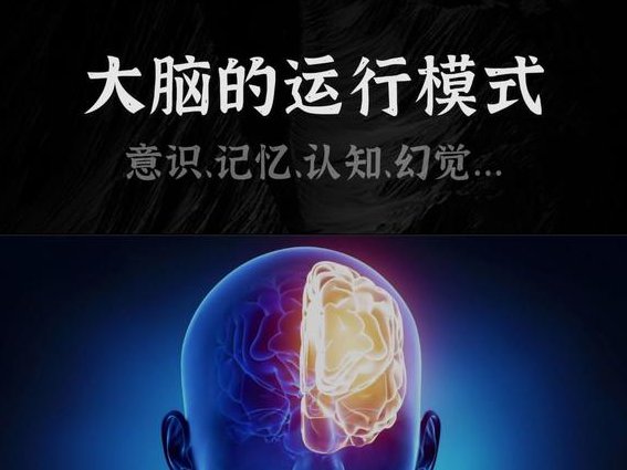北京大学-神经生物学导论课程 - 脑科学