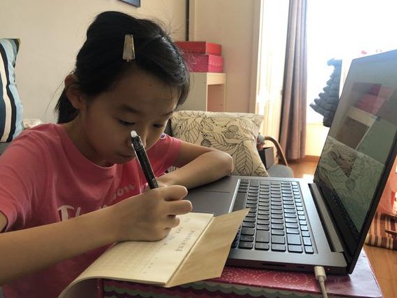 小学六年级语文辅导课程 - 语文学习
