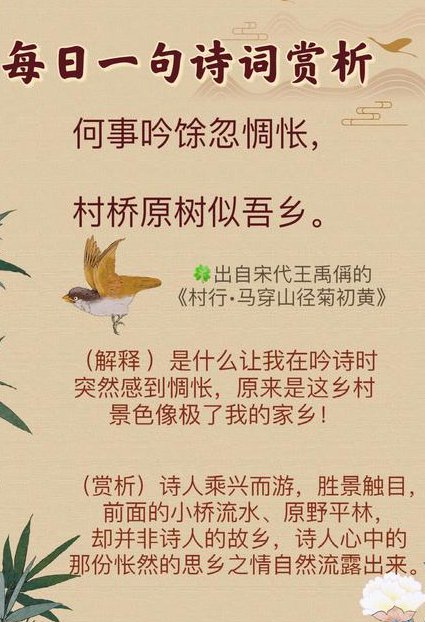 中华诗词之美 叶嘉莹 南开大学公（全50集） - 诗词赏析