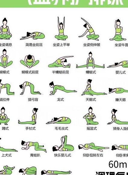 瑜伽视频教程初级 - 瑜伽基本功
