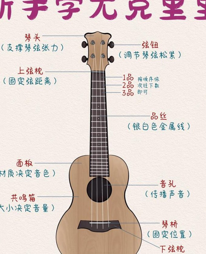零基础尤克里里教学 - 尤克里里和弦
