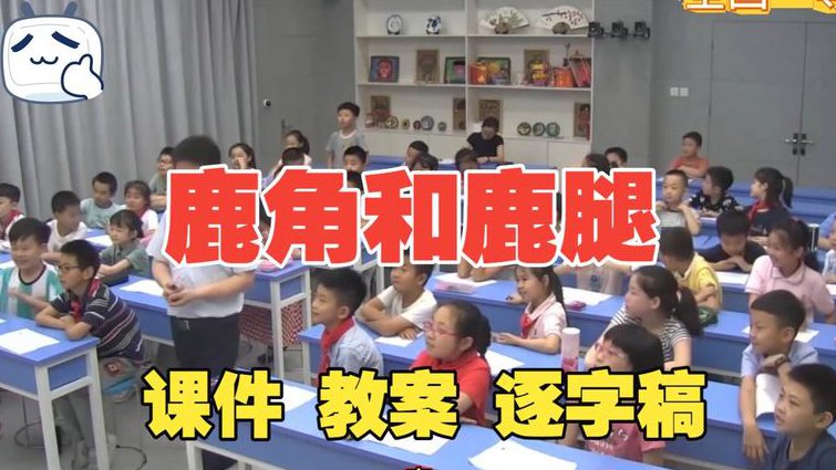 心电图基础教学视频 - 教学视频