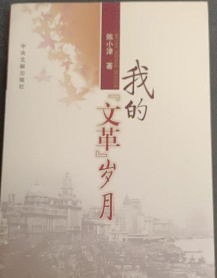 毛泽东最后七年风雨路 - 文革历史