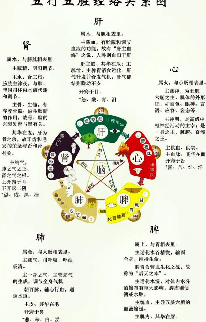 中医养生学课程--厦门大学 - 中医养生