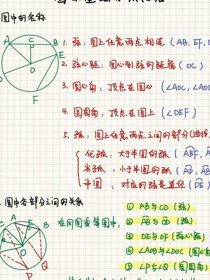 人教版数学九年级上名师辅导 - 圆的性质