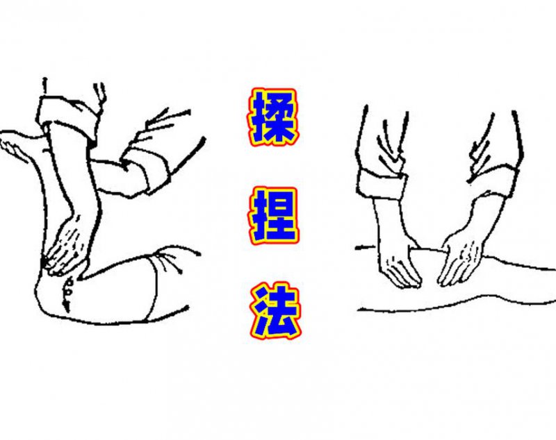 推拿手法学-浙江中医药大学-范炳华 - 推拿手法