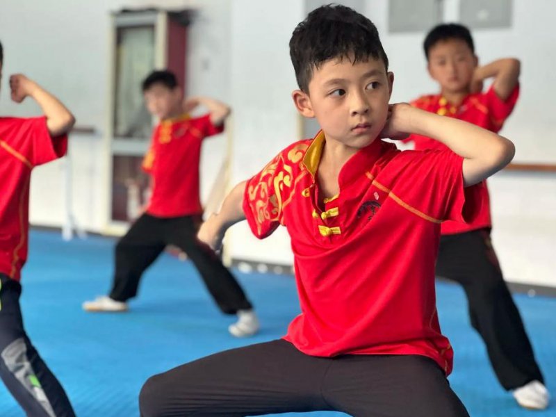 蔡李佛拳功夫教学视频—梁乃钊 - 武术教学