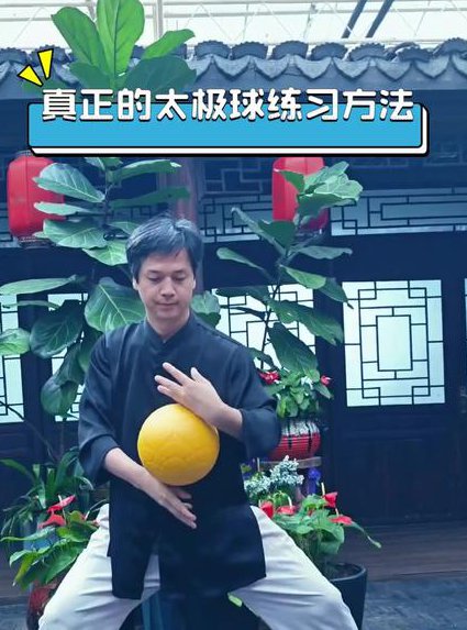 正宗杨氏太极拳85式教学 - 太极教学