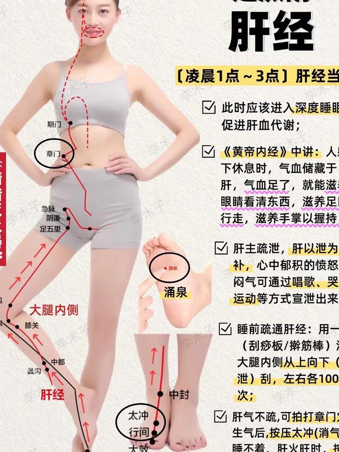 中医经络腧穴全套课程 - 经络图解