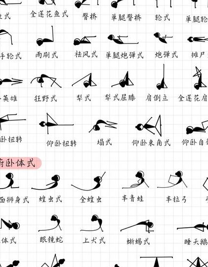 终极瑜伽教程全套12DVD - 瑜伽体式