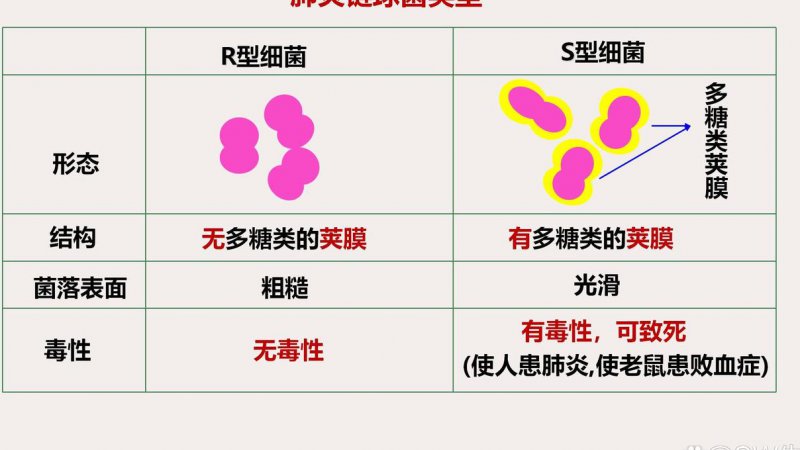 高三生物同步课辅导精讲 - 遗传物质