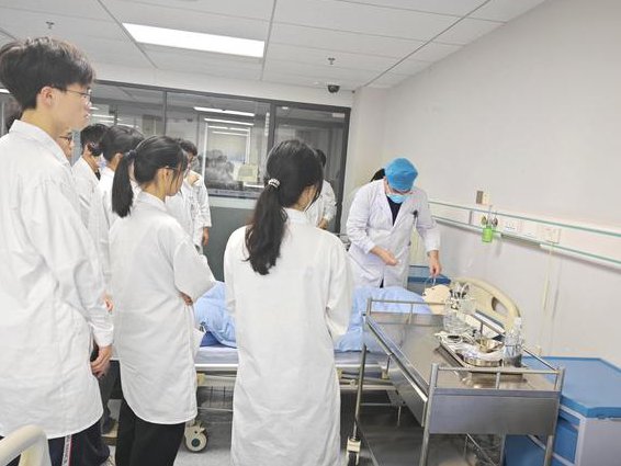 卫生部--系统解剖学课程 - 医学教育