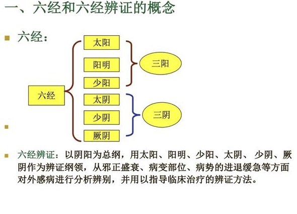 浙江大学 金匮要略课程 - 辨证论治