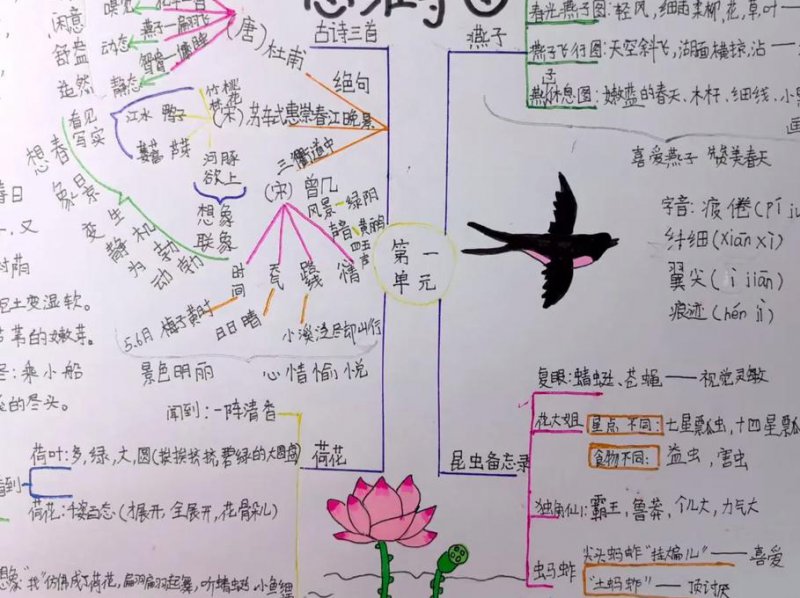 初中语文复习微课视频 - 语文思维导图
