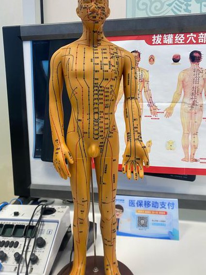 人体表面解剖学课程视频 - 人体体表标志