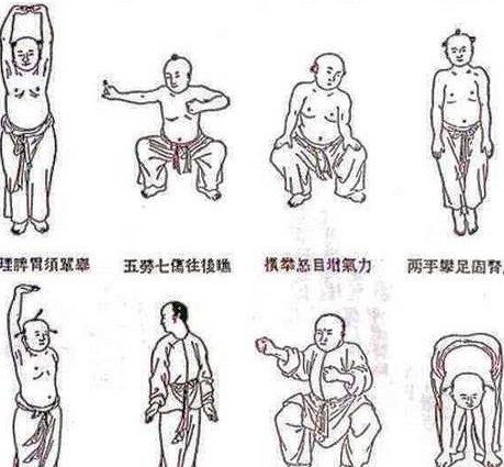 八段锦功法教学视频 - 八段锦
