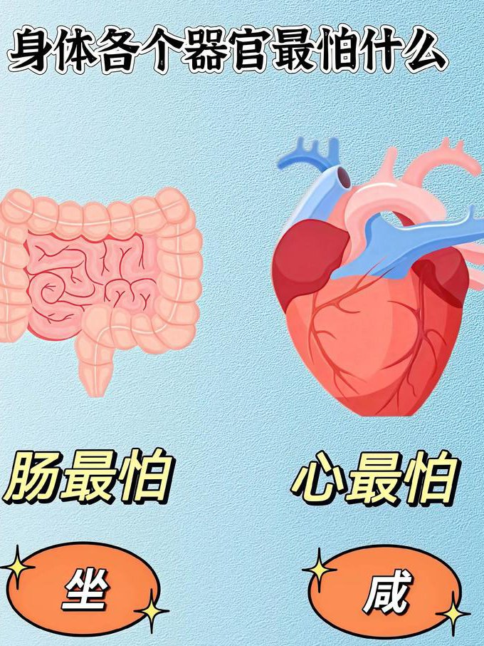 西安交通大学--生理学教学视频 - 人体生理