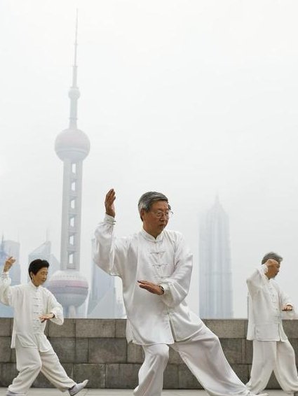 跟名师学太极教程 - 太极动作
