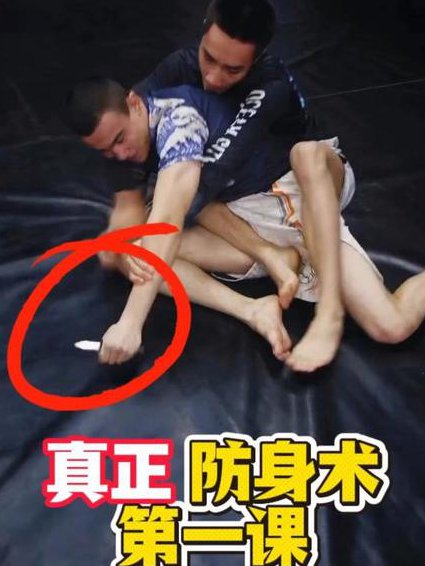 武术技术实战 - 防身术