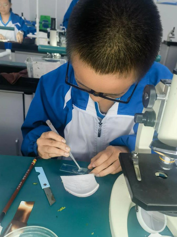 初中物理光学实验大全 - 实验操作