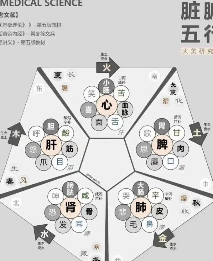 中医药与中国传统文化（上海交通大学） - 中医理论