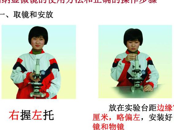 高中生物必修一名师课程 - 显微镜操作
