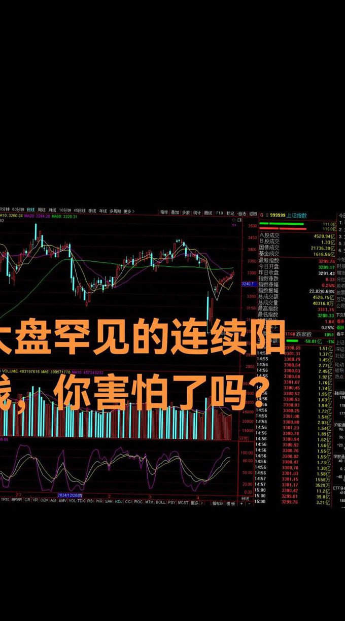 张清华老师股市实战视频教程 - 股市