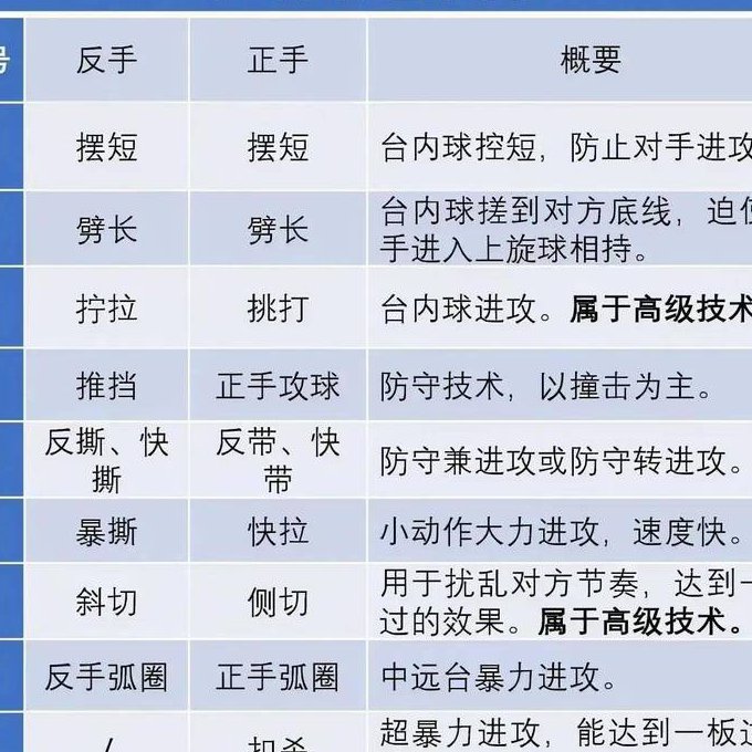 王浩直拍横打教学 - 乒乓球教学