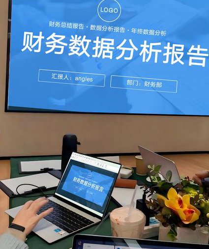 [徐斌]公司财务管理精品课 - 财务分析案例