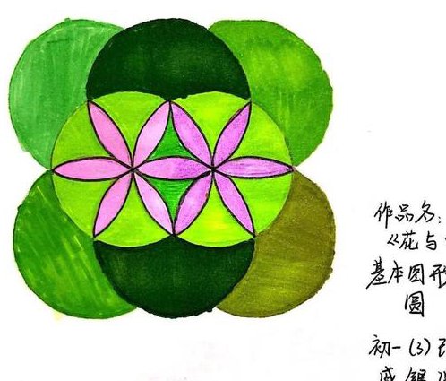 Adobe illustrator入门必学视频教程 - 图形设计