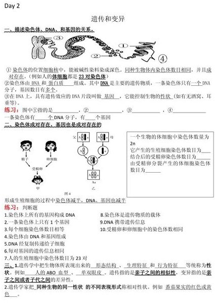 高中生物必修二课程 - 遗传
