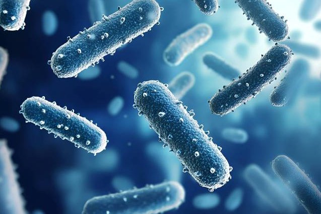 北京大学-神经生物学导论课程 - 生物技术
