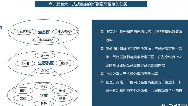 [张传平]企业经营战略教学视频 - 战略管理