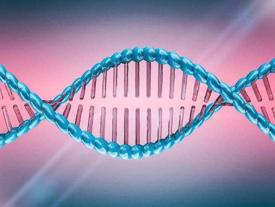 武汉大学分子生物学 - 基因表达